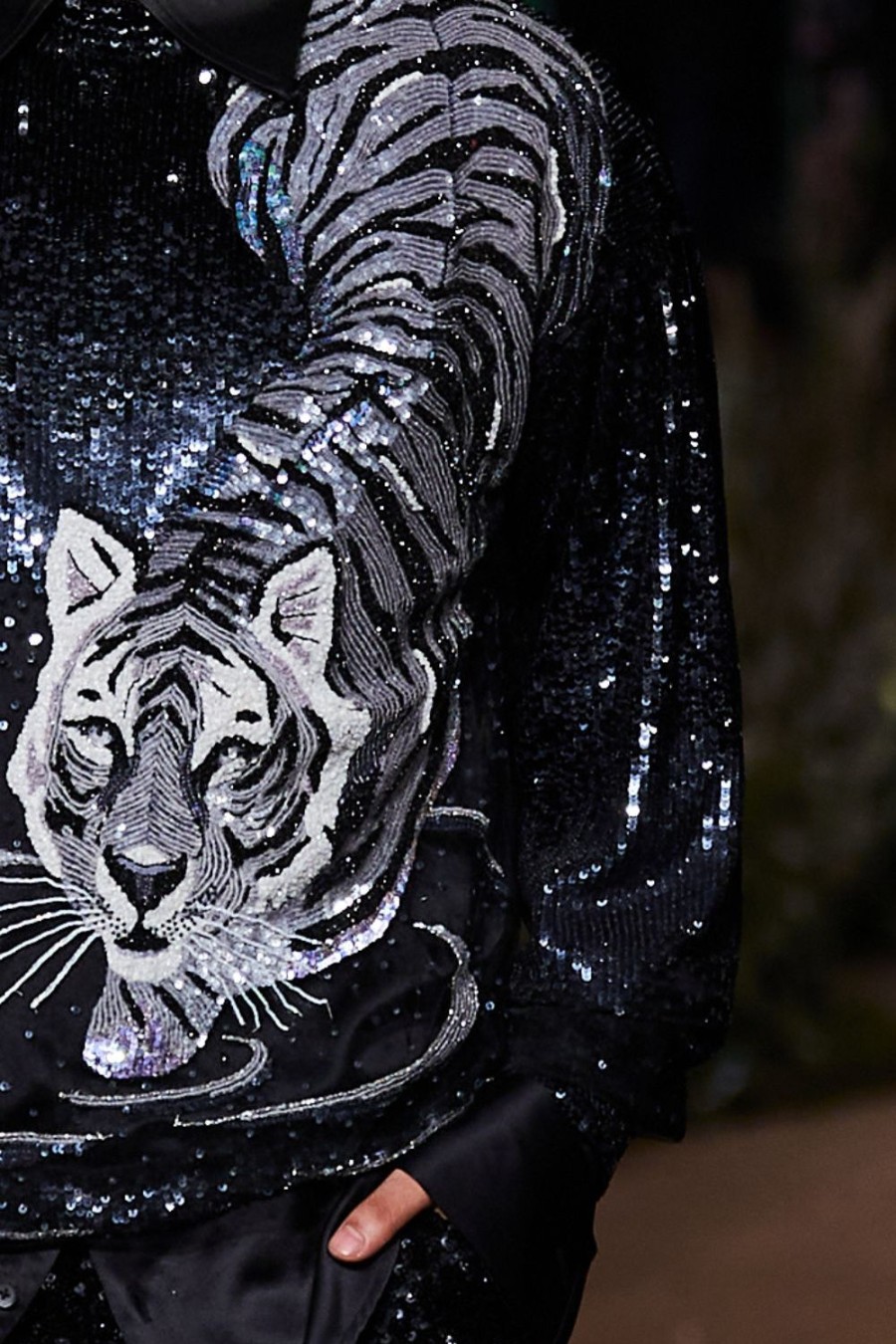 Noir Tigress Blazer Set – Rahul Mishra
